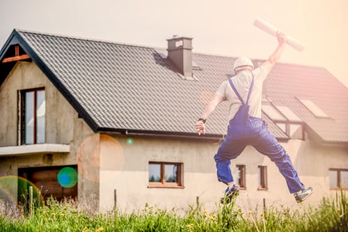 Top 5 Services Offered by Professional Mold Removal Companies